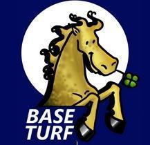 Base turf