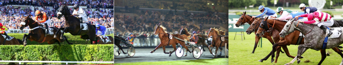 Bandeau trot galop obstacles