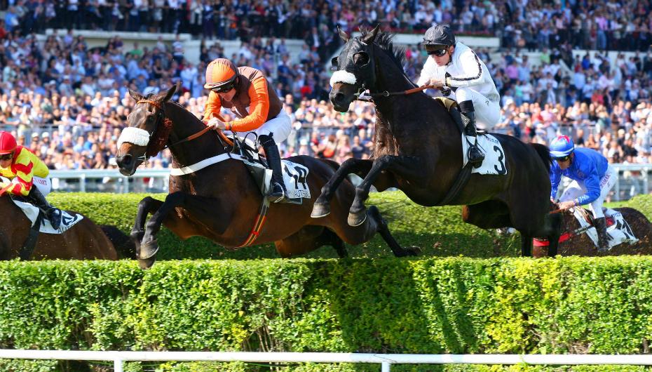 Obstacles auteuil