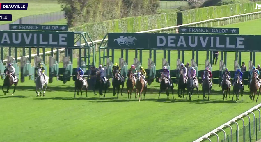 Plat deauville 102023