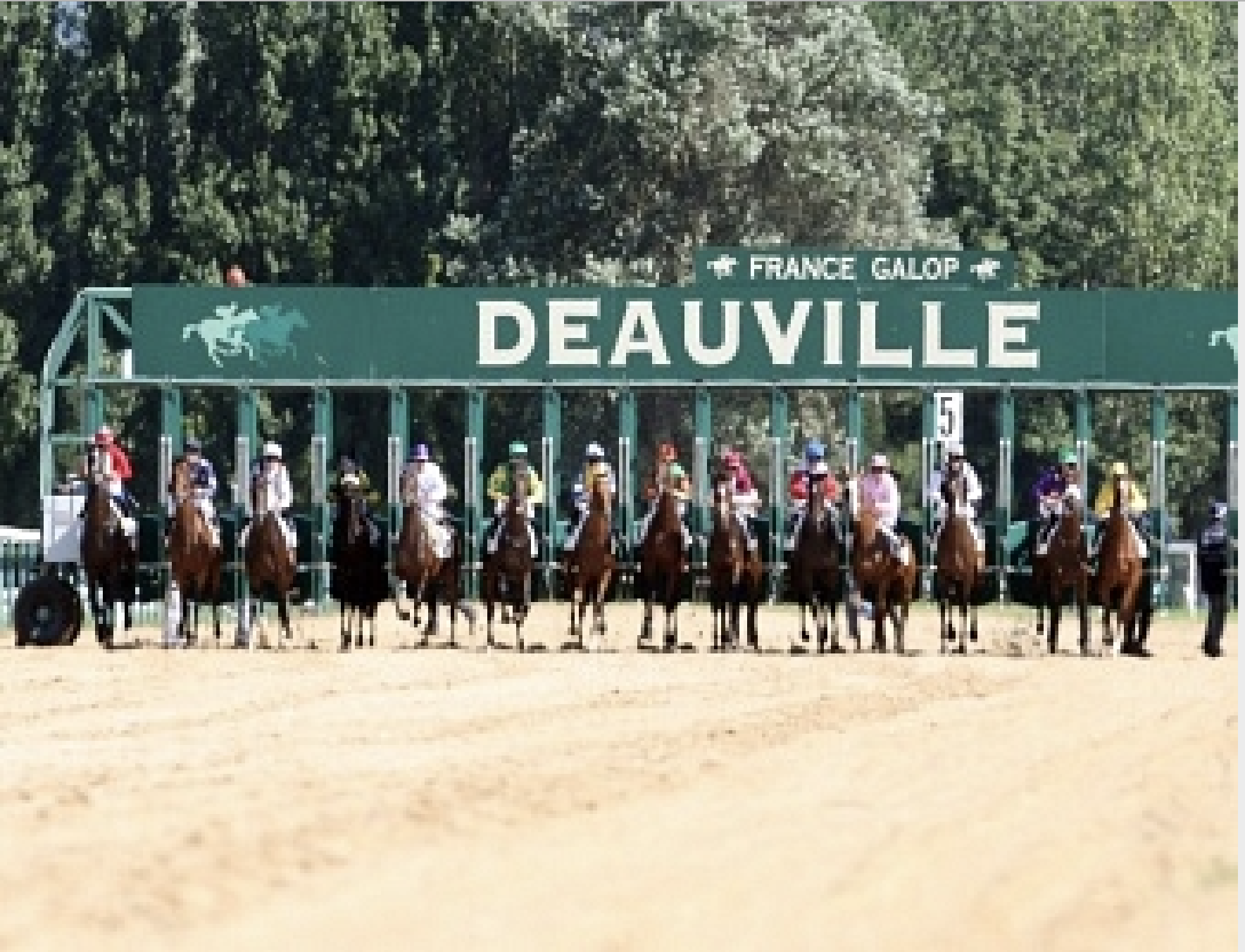 Plat deauville sable