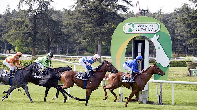 Plat lyon parilly 1