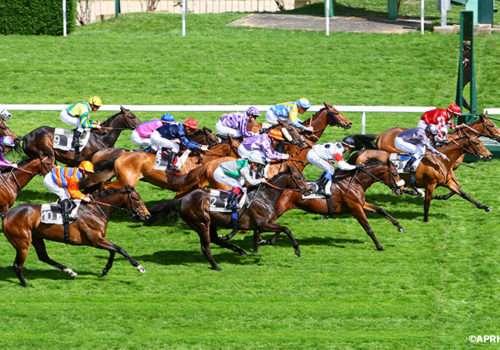 Plat saint cloud1 1