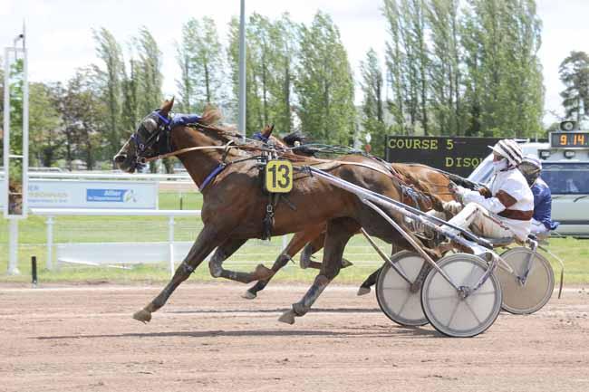 Trot vichy 3