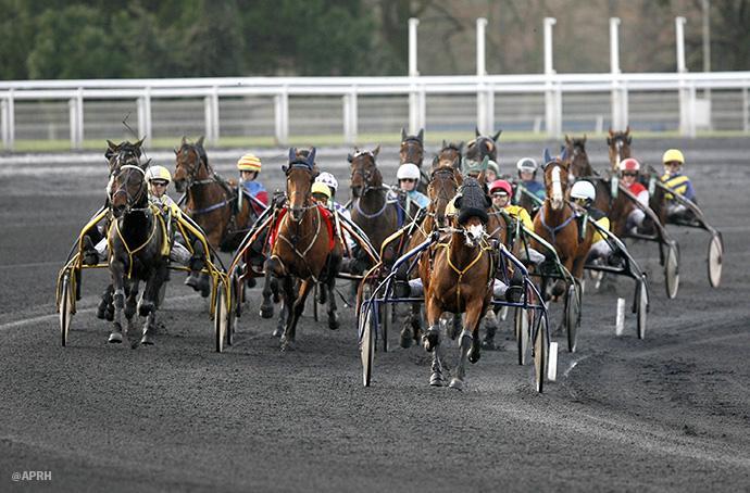 Trot vincennes 6